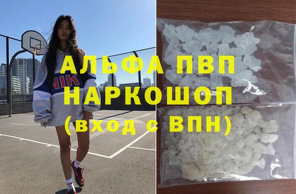 дмт Дмитриев