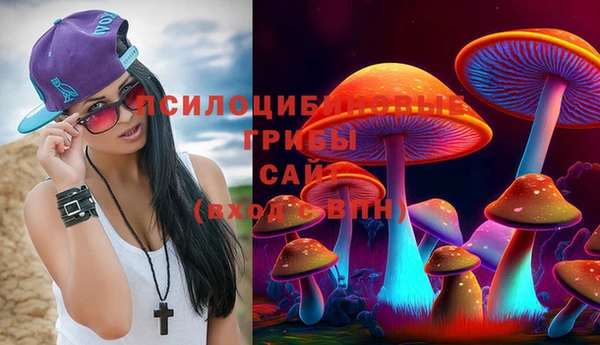 соль курить ск Дмитров