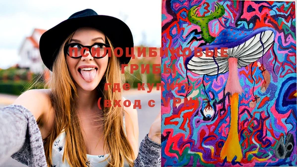 соль курить ск Дмитров