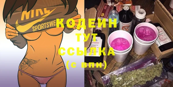 дмт Дмитриев